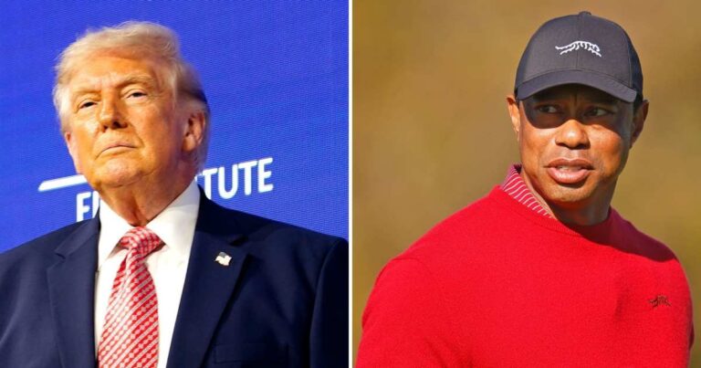 President Donald Trump Reacts to ‘Friend’ Tiger Woods’ DUI Arrest, Hints at ‘Difficulty’ for Golf Star President Donald Trump Reacts to ‘Friend’ Tiger Woods’ DUI Arrest, Hints at ‘Difficulty’ for Golf Star