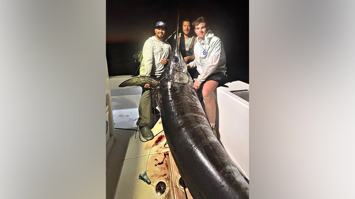 Captain in Florida Keys Catches Massive Swordfish