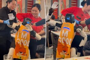 Dancing robot seen dragged away by panicked restaurant staff after going haywire in bizarre video: ‘Actually scary’