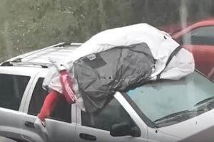 Florida man uses his body as shield against hailstorm in wild video: ‘Yes, it hurt’ Florida man uses his body as shield against hailstorm in wild video: ‘Yes, it hurt’