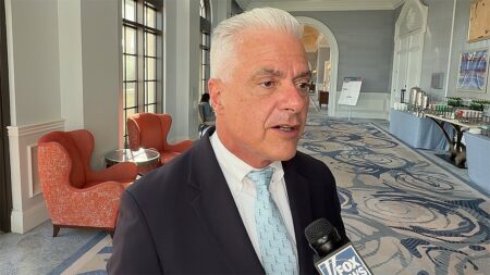 McIntosh: Midterms a choice between Trump’s ‘great progress’ and ‘socialists back in’