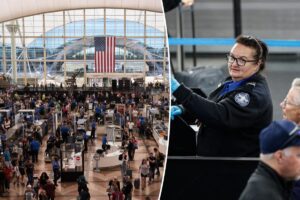 Denver International Airport pleads for gift card donations to cover TSA agents pay during government shutdown
