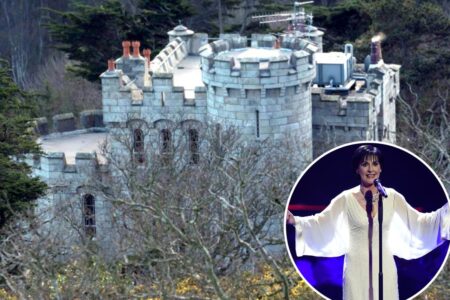 Singer Enya prefers a solitary life with her 12 cats in a Dublin Victorian-style castle: ‘Lives like a queen’ Singer Enya prefers a solitary life with her 12 cats in a Dublin Victorian-style castle: ‘Lives like a queen’