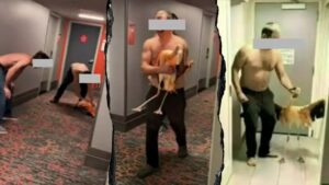 Tourist’s bird-brained Vegas stunt with flamingo lands him behind bars on felony charges