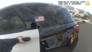 Dem official pleads guilty to child abuse for driving drunk at triple legal limit, enters diversion program