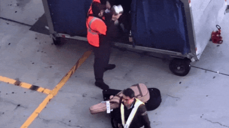 Baggage handler slammed after viral video shows guitars violently tossed on tarmac