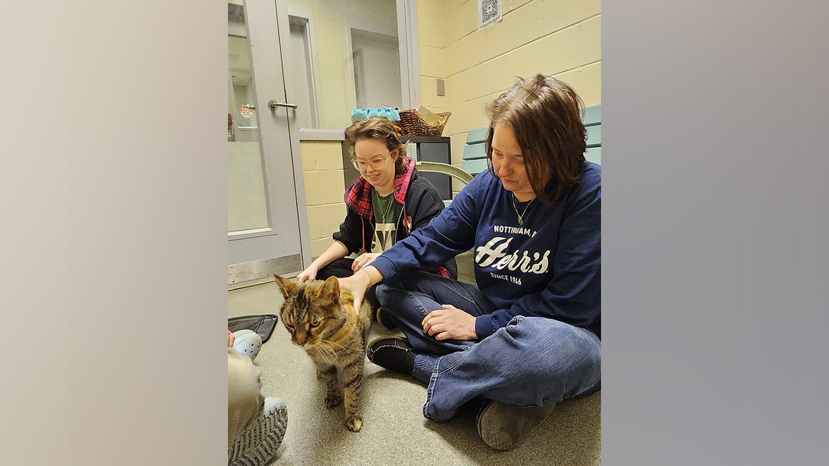 A family reunites with their missing cat