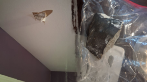 Woman claims space rock smashed into house after Houston-area blast rattles residents