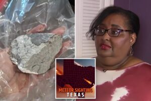 Meteorite crashes through woman’s house after pressure wave ‘booms’ 29 miles above Texas