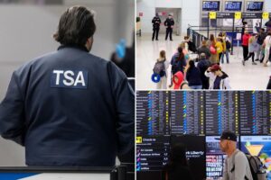 Airports could be forced to close if Dem DHS shutdown drags on, TSA official warns: ‘We’re fully stretched’