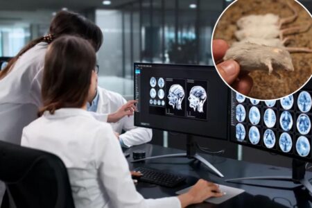 Frozen mouse brains revived from ‘cryosleep’ in a scientific first Frozen mouse brains revived from ‘cryosleep’ in a scientific first