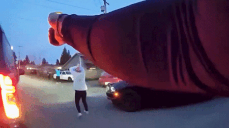 Repeat offender nears 100th arrest after theft spree, drugs and wild high-speed chase: police