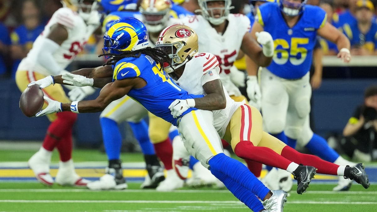 Davante Adams makes a catch