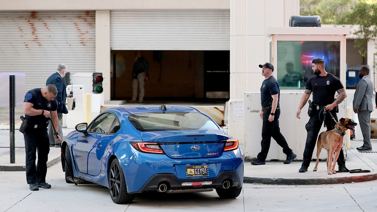 Security personnel and a K-9 dog inspecting a blue car outside a building in Miami.