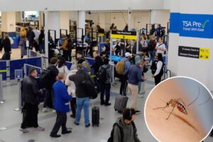 Travel warning for 16 countries with higher risk of a disease that can cause brain bleeds, bloody vomit