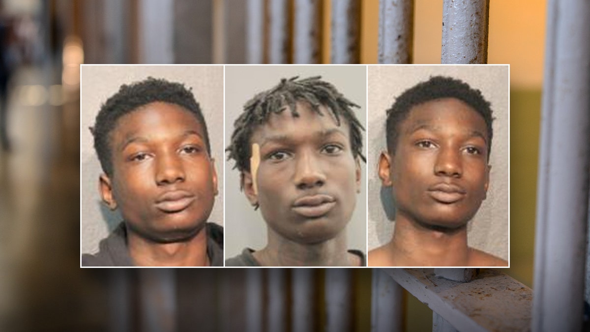 Johnnie Lillie's Texas mugshots