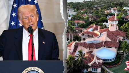 Ballot box upset: Democrats flip Florida legislative seat in Trump’s stomping ground