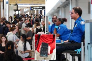 TSA callouts threaten to shut airports down completely as Dem shutdown persists TSA callouts threaten to shut airports down completely as Dem shutdown persists