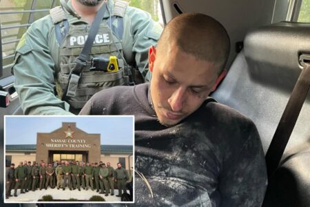Ex-con accused of killing 2 people outside Players Championship pictured sulking in back of police cruiser after arrest