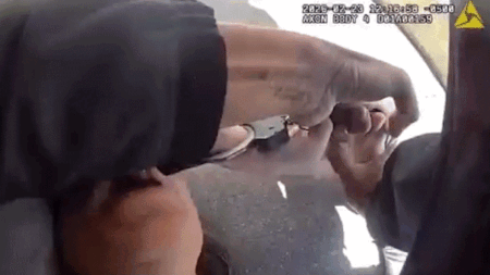 Florida woman seen on video allegedly attacking pregnant driver, elderly bystander and biting police officer