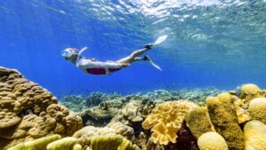 Solomon Islands tourism rebounds: What to see in the island nation