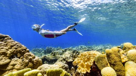 Solomon Islands tourism rebounds: What to see in the island nation