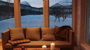 Ditch the hotel for a zoo? Top European destinations for a wild night