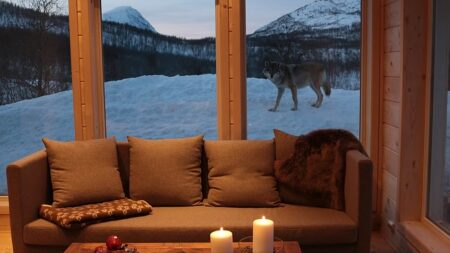 Ditch the hotel for a zoo? Top European destinations for a wild night