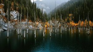 Why Kazakhstan is growing its national parks and green spaces