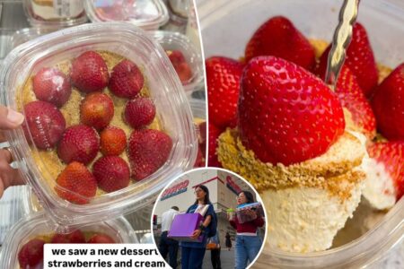 Costco shoppers shocked by ‘overpriced’ 3-ingredient dessert: ‘Ridiculous’
