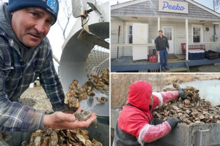 Winter’s deep freeze sank Long Island’s massive oyster industry, costing farmers millions: ‘Worst of the century’
