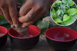 383% jump in calls to poison control center over side effects of ‘healthy’ drink 383% jump in calls to poison control center over side effects of ‘healthy’ drink