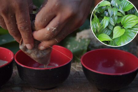 383% jump in calls to poison control center over side effects of ‘healthy’ drink