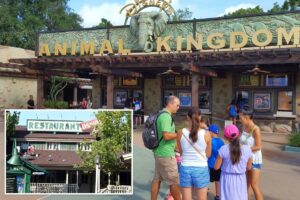 Beloved Animal Kingdom restaurant closes to prepare for Disney World’s Tropical Americas debut: ‘Biggest mistake’