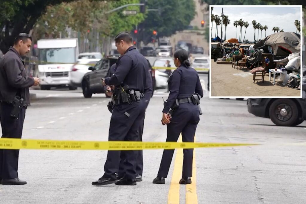 Homeless man accused of horrific random stabbing of woman on DTLA street is already on parole Homeless man accused of horrific random stabbing of woman on DTLA street is already on parole