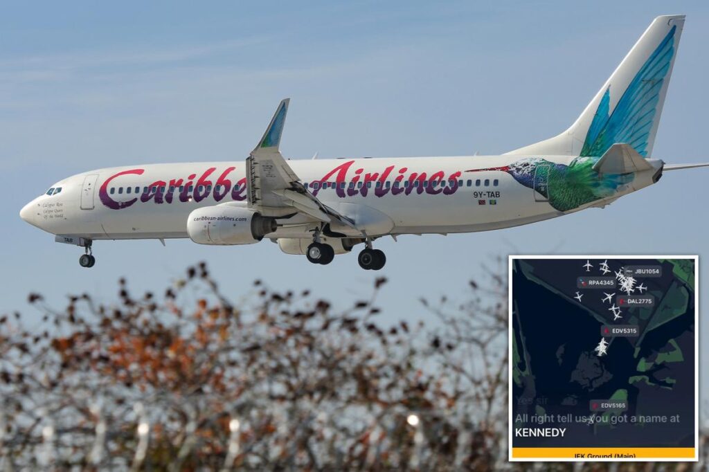 Caribbean Airlines passenger gives birth aboard NY-bound flight — as airport officials suggest crafty name for newborn Caribbean Airlines passenger gives birth aboard NY-bound flight — as airport officials suggest crafty name for newborn