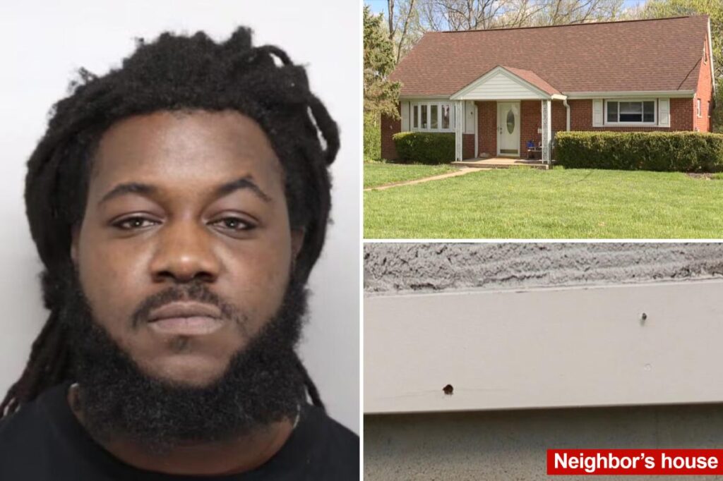 Homeowner arrested after shooting at young pranksters playing ‘ding-dong-ditch’: cops Homeowner arrested after shooting at young pranksters playing ‘ding-dong-ditch’: cops