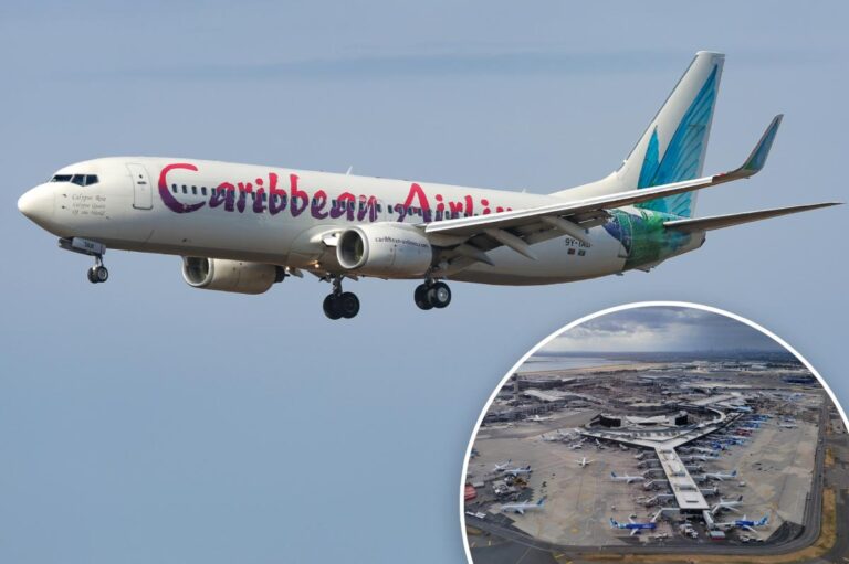 Baby born on a plane has no country, experts say — child’s citizenship now unclear Baby born on a plane has no country, experts say — child’s citizenship now unclear