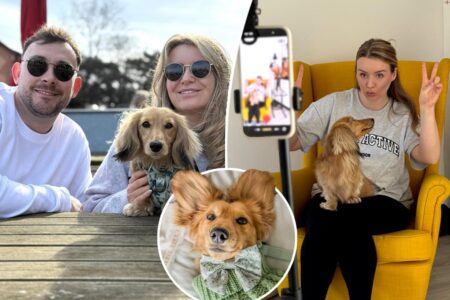 How an adorable dachshund — set to fund K wedding — became one family’s breadwinner