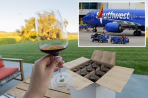 Popular budget airline is letting passengers check a case of wine for free after recent bag fee uproar Popular budget airline is letting passengers check a case of wine for free after recent bag fee uproar