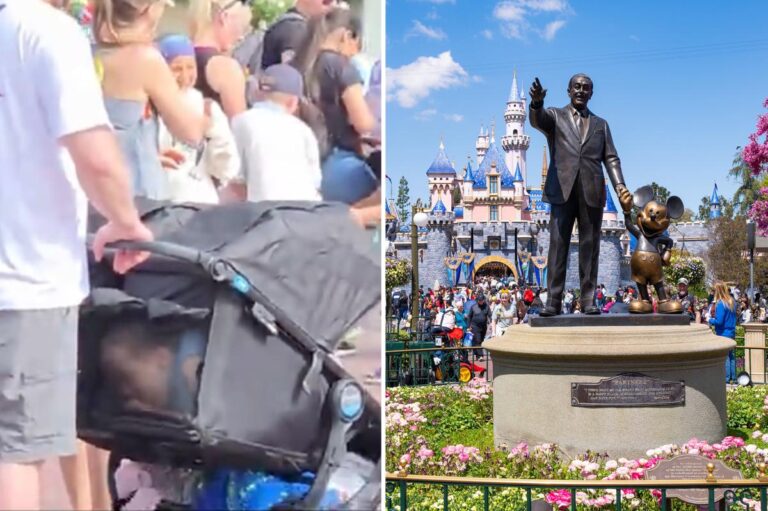 Disneyland visitors caught sneaking child in stroller: ‘Disney so expensive they smuggling kids in’ Disneyland visitors caught sneaking child in stroller: ‘Disney so expensive they smuggling kids in’