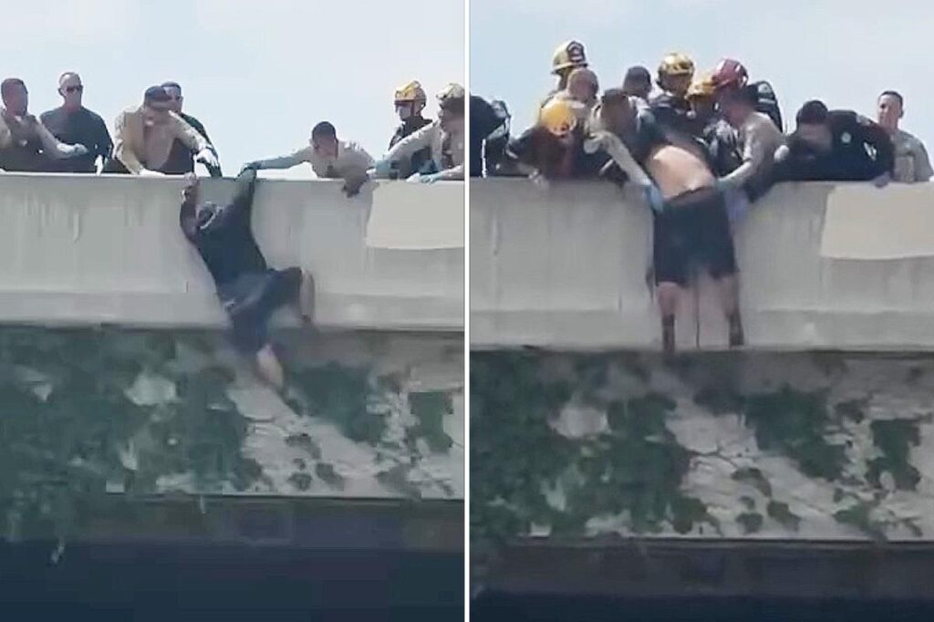 Heart-stopping moment rescuers swoop in on man trying to jump from LA overpass Heart-stopping moment rescuers swoop in on man trying to jump from LA overpass