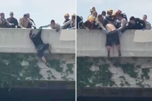 Heart-stopping moment rescuers swoop in on man trying to jump from LA overpass
