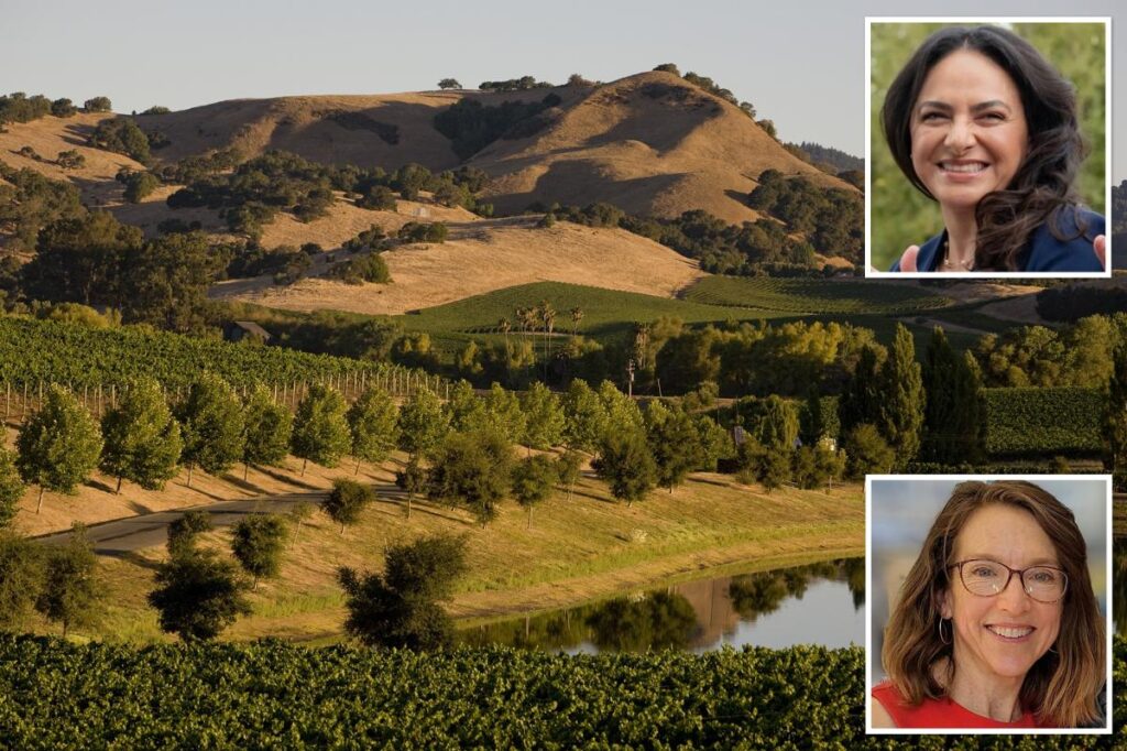 Napa Valley unveils .4M scheme to save decimated Wine Country — how everything will change explained