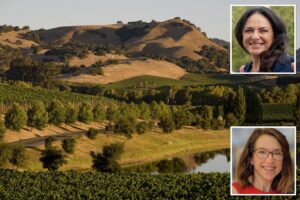 Napa Valley unveils .4M scheme to save decimated Wine Country — how everything will change explained