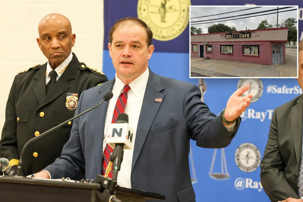 Illegal migrant violently rapes incapacitated man behind dumpster on Long Island: cops