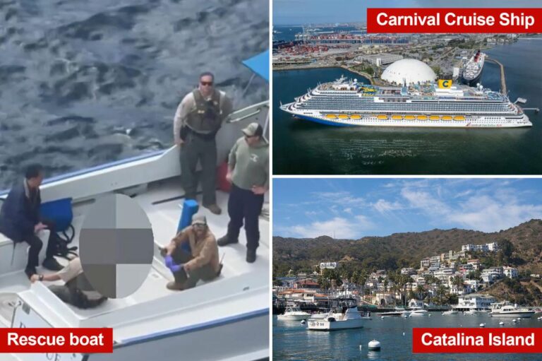 Mystery deepens as FBI probes woman’s ‘suspicious’ Carnival cruise ship death near Catalina Island