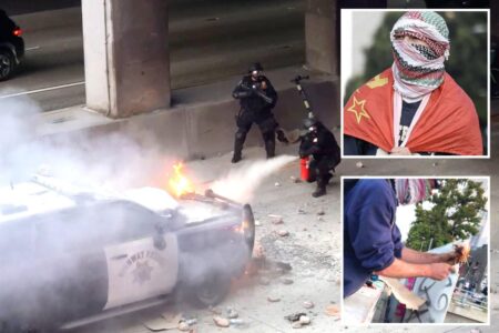 Violent anti-ICE rioters plead guilty to attacking police with rocks and fireworks during LA protests