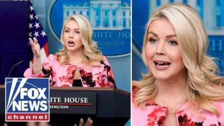 ‘That’s NOT what I said!’: Leavitt SHUTS DOWN reporter over Trump ‘war crimes’ question