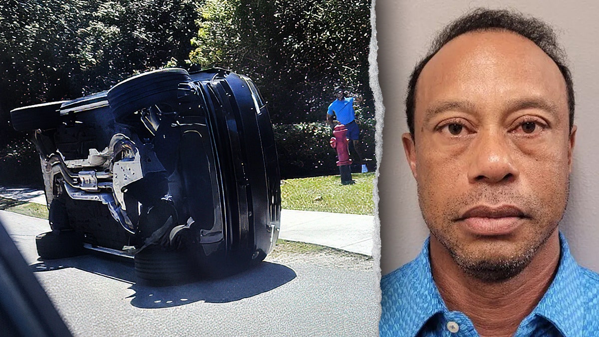 Tiger Woods' mug shot with a photo of his crash